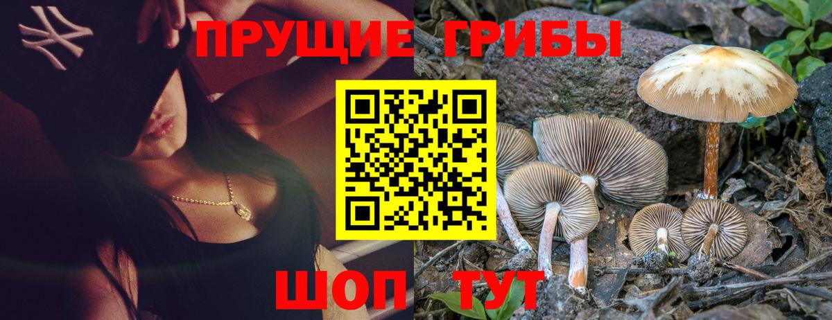 Галлюциногенные грибы Psilocybine cubensis  Вход с VPN  Псилоцибиновые грибы мицелий  Тольятти 